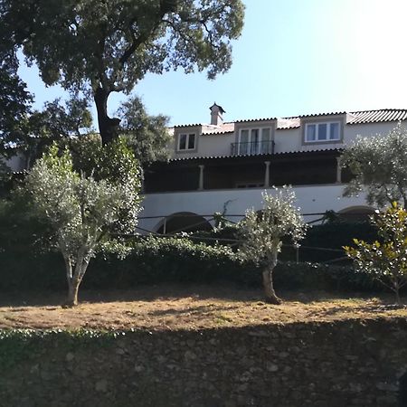 카스타녜이라 지 페라 Casa Ribeira De Pera 빌라 외부 사진